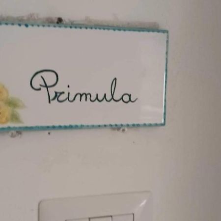 Il Glicine - Primula Lägenhet Paciano Exteriör bild